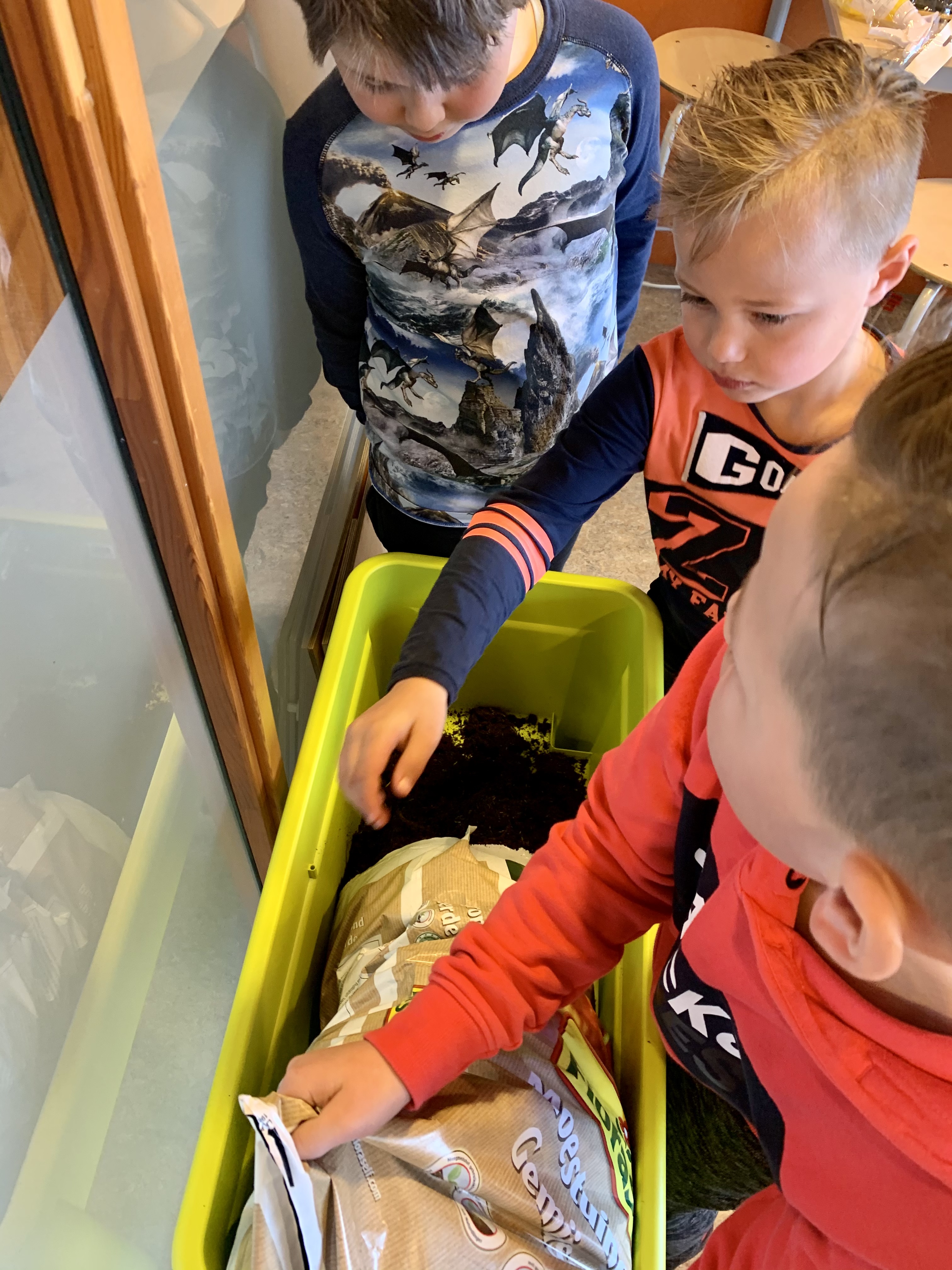 Bloemen kweken in de klas!